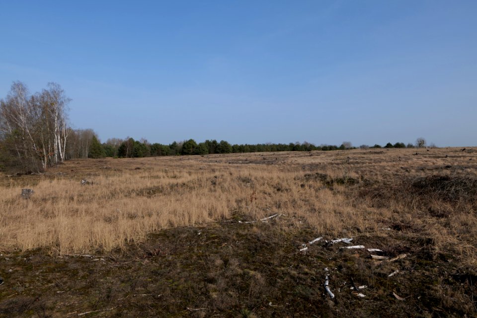 Parforceheide 2021-02-24 84