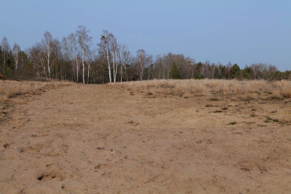 Parforceheide 2021-02-24 95