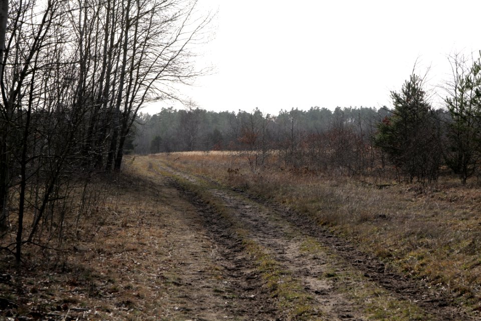 Parforceheide 2021-02-24 81