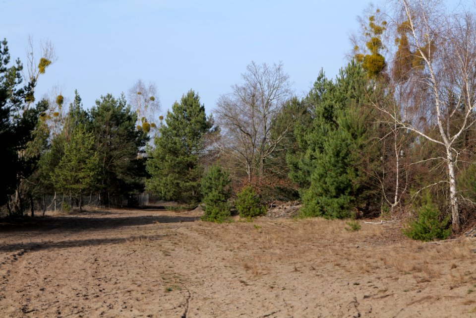 Parforceheide 2021-02-24 97