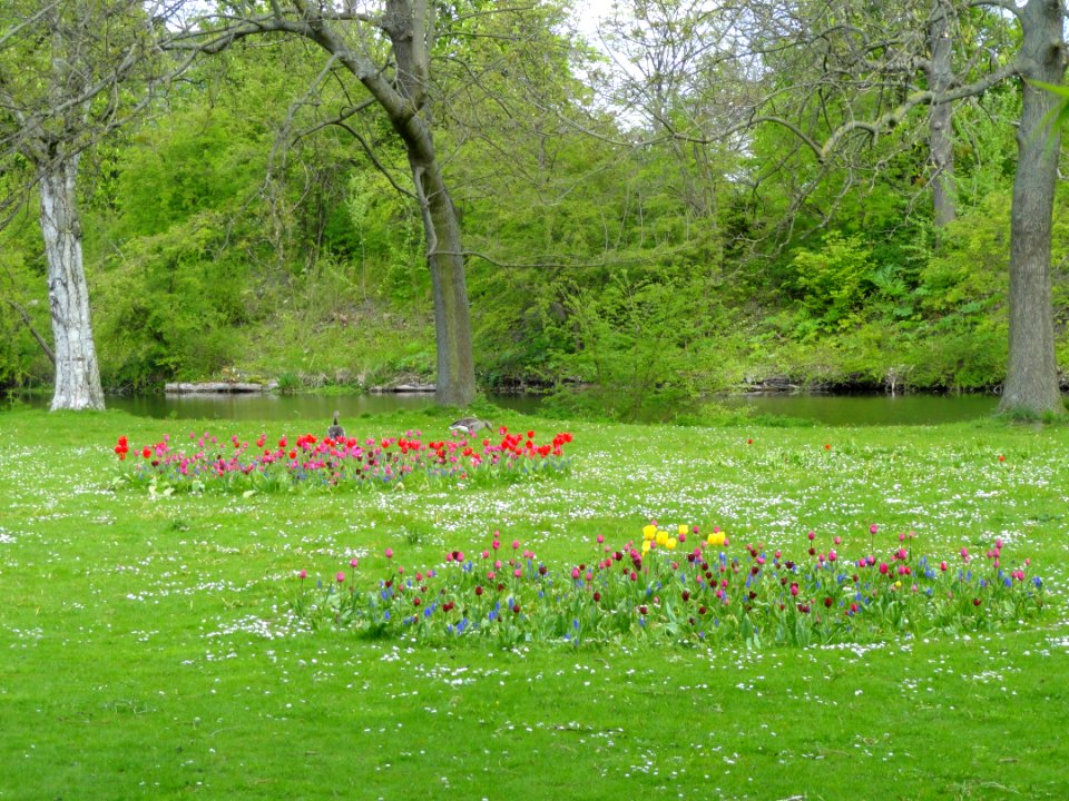 Park along Kastellet Moat - Copenhagen - DSC07289