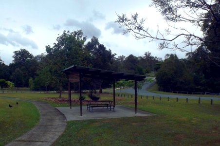 Park along Tuxedo Junction Drive, Maudsland, Queensland photo