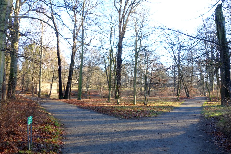 Park - Schloss Albrechtsberg - DSC09151