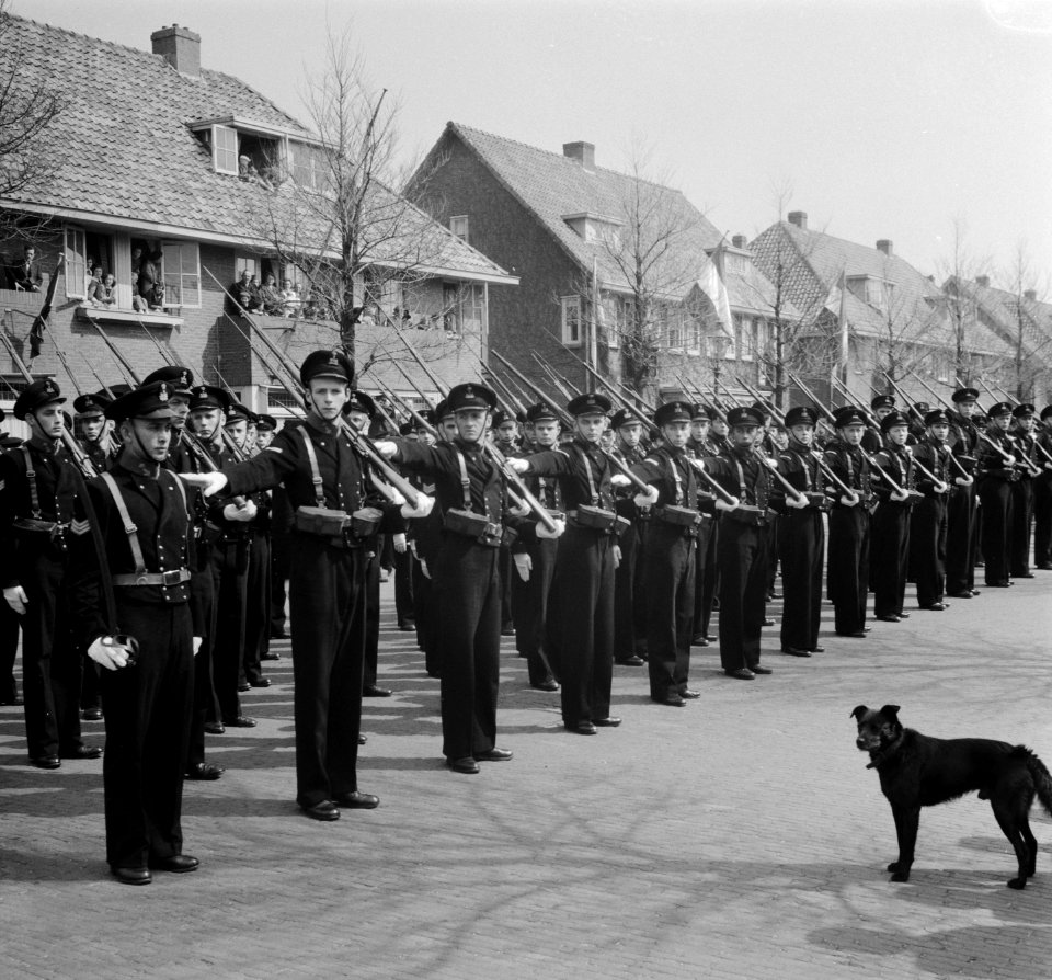 Parade te Den Helder, Bestanddeelnr 904-5462