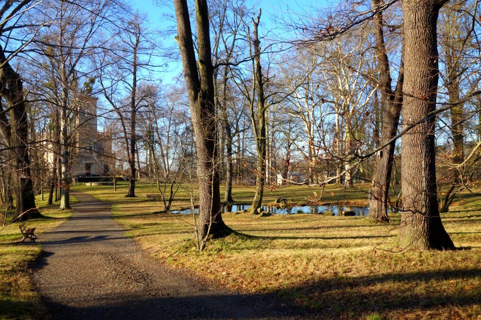 Park - Schloss Albrechtsberg - DSC09161