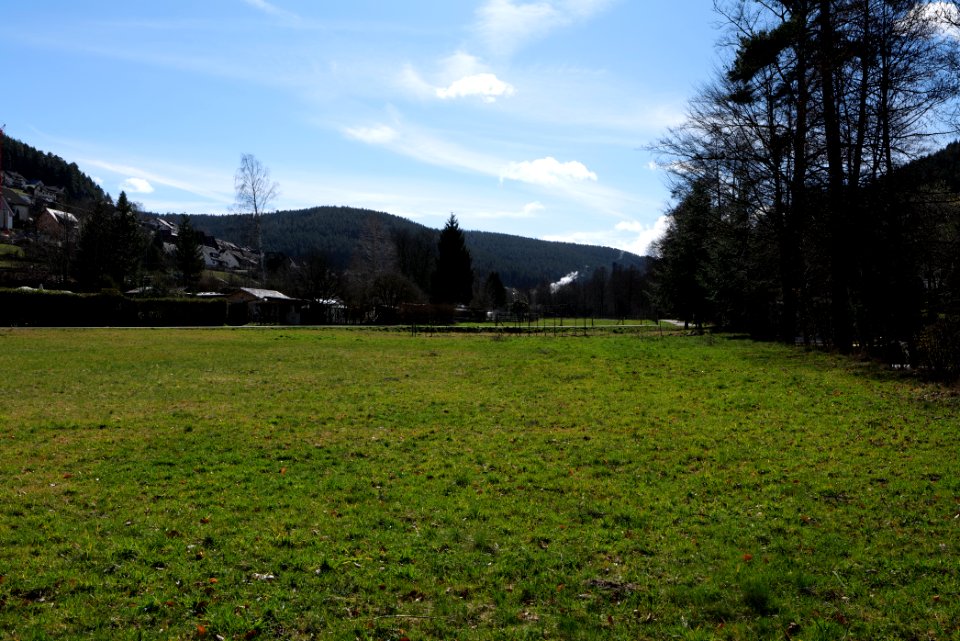 Park at Mühlgraben Forbach Baiersbronn 2020-03-12 04