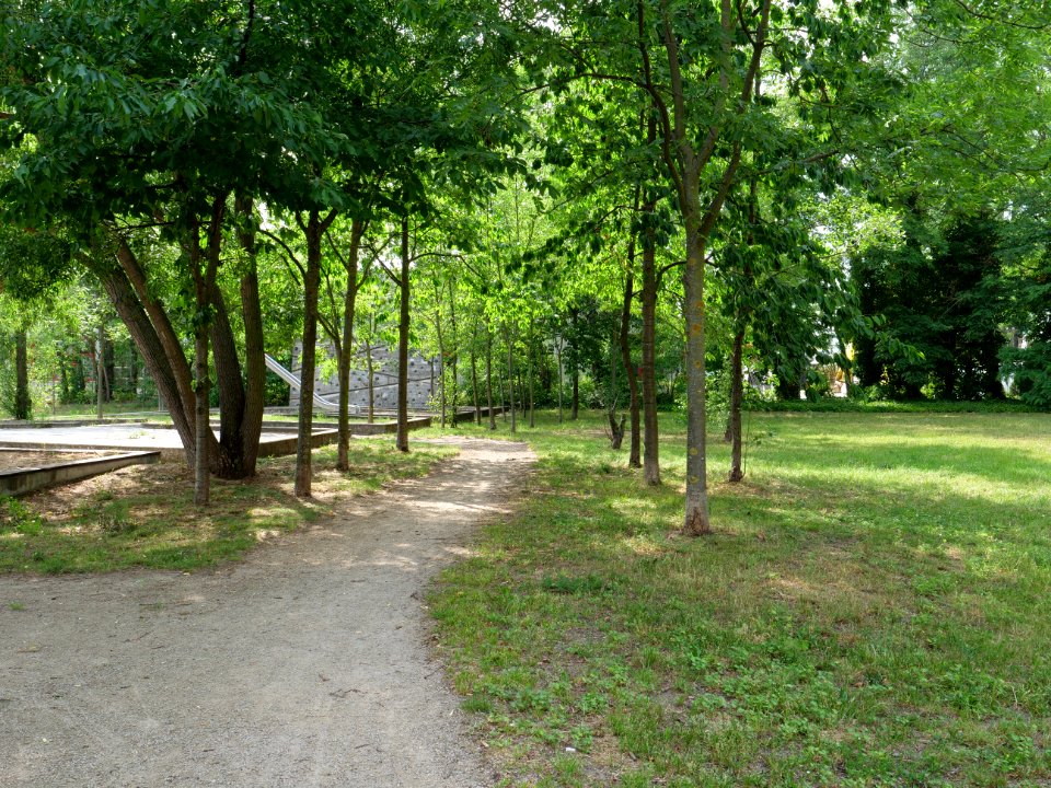 Park at Wasserstadt Spandau 2019-06-11 05