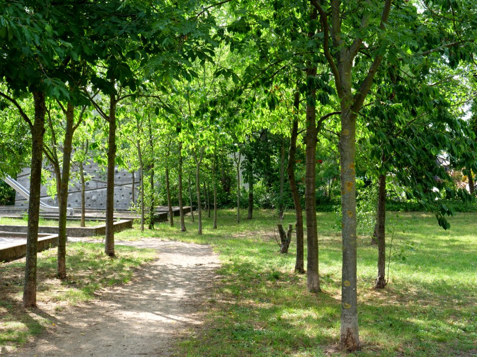 Park at Wasserstadt Spandau 2019-06-11 02