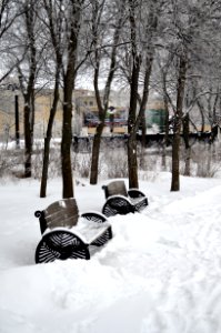 Park benches in Stephen Juba Park in winter
