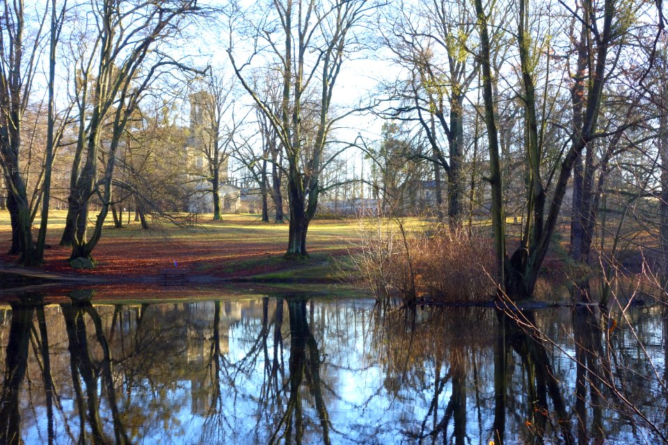 Park - Schloss Albrechtsberg - DSC09152