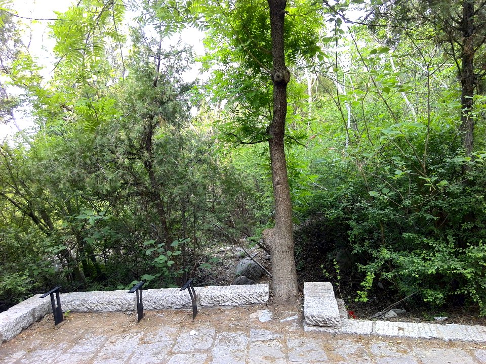 Park of Baifo Hill 19