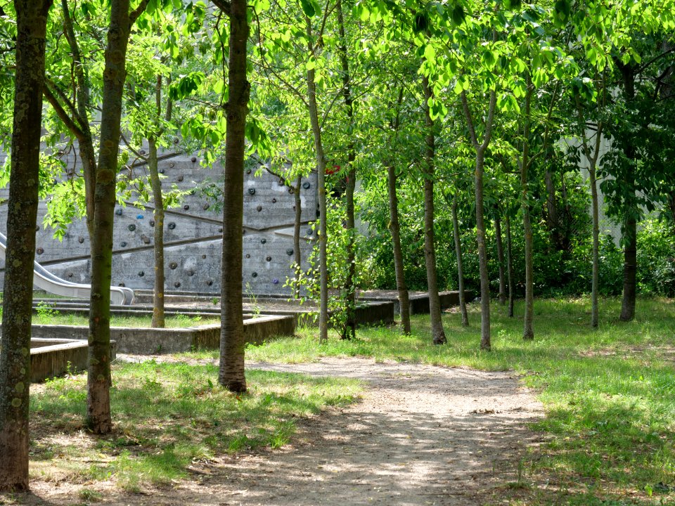 Park at Wasserstadt Spandau 2019-06-11 04