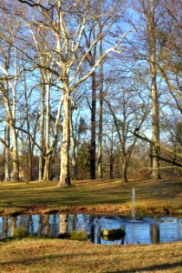Park - Schloss Albrechtsberg - DSC09163