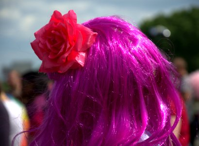 Paris Gay Pride 2013 008 photo