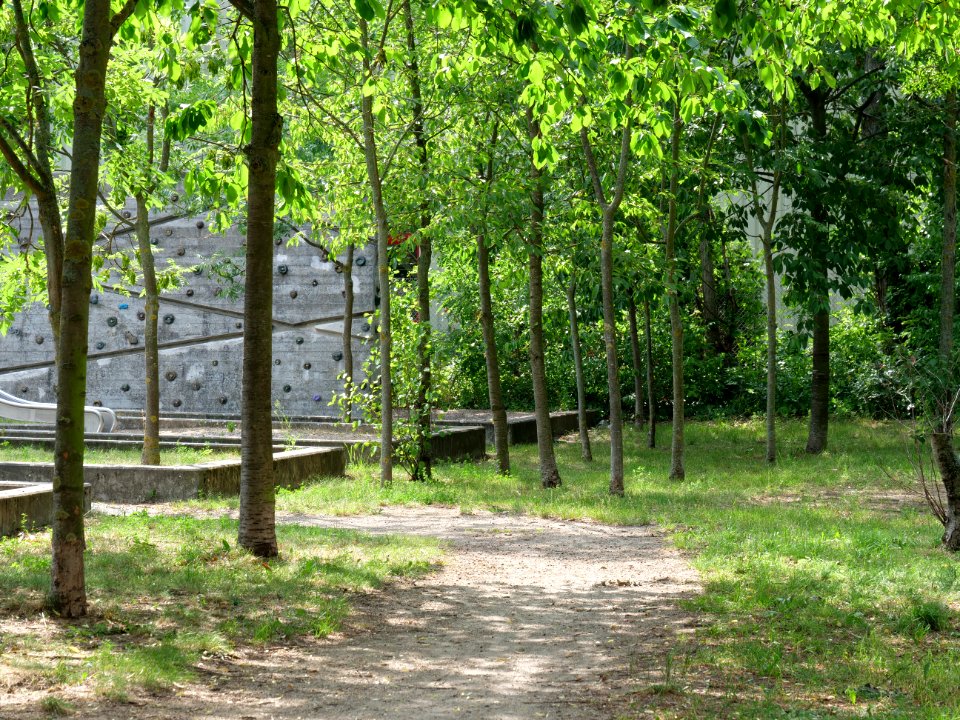 Park at Wasserstadt Spandau 2019-06-11 07