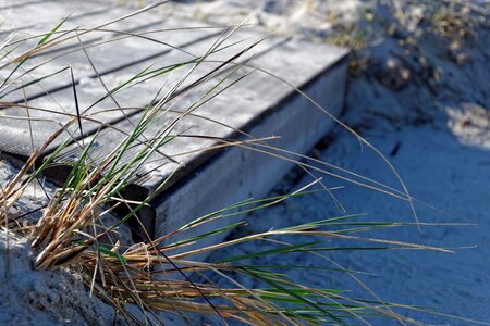 Vacations sand baltic sea