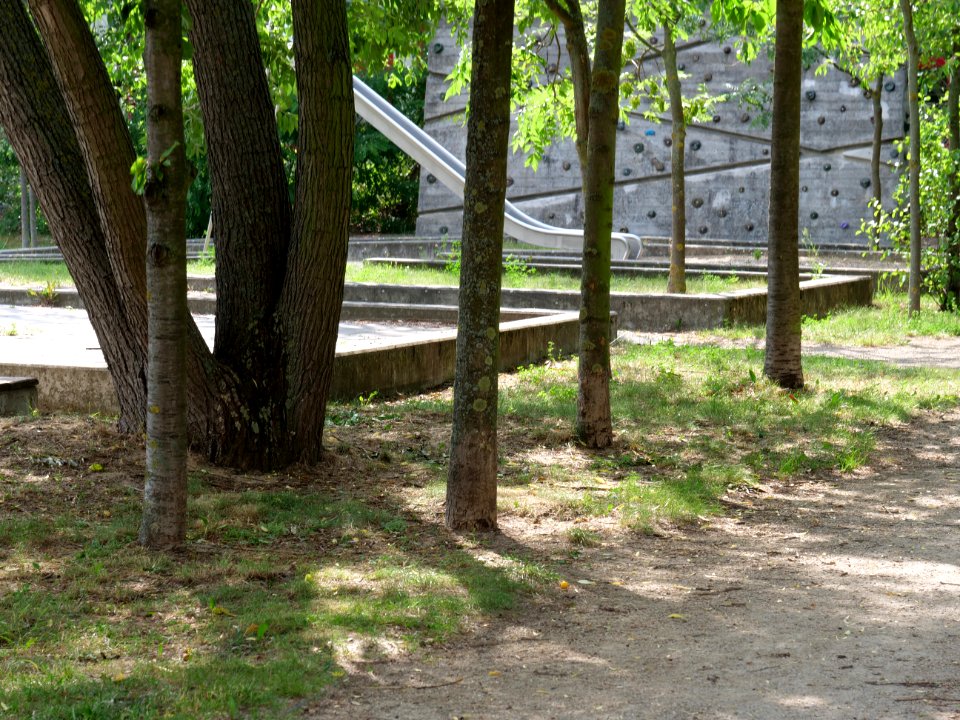 Park at Wasserstadt Spandau 2019-06-11 03