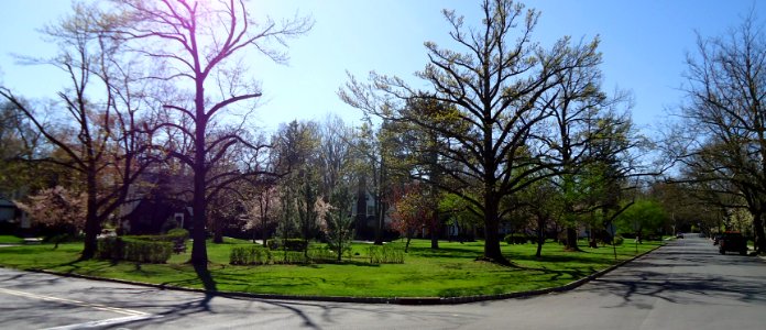 Park near Brayton School in Summit NJ