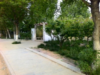 Park of Baifo Hill 30