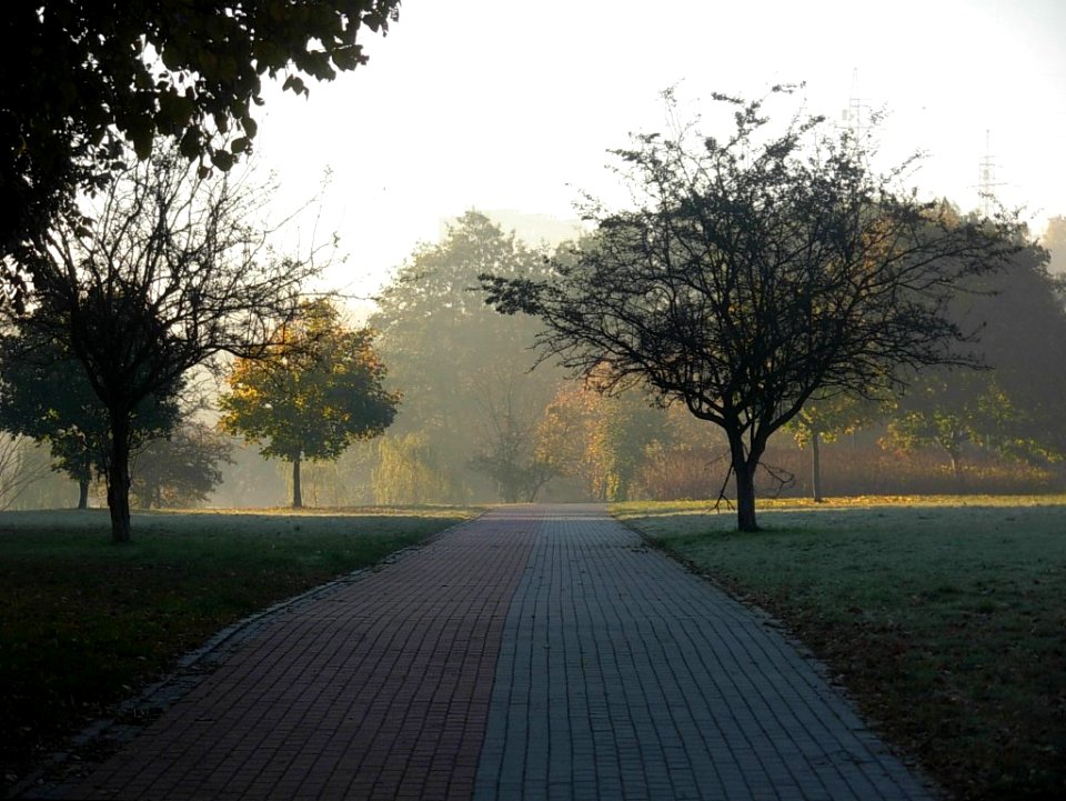 Park Centralny w Bydg b