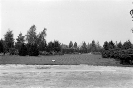 Parken, Groningen, Bestanddeelnr 170-0361