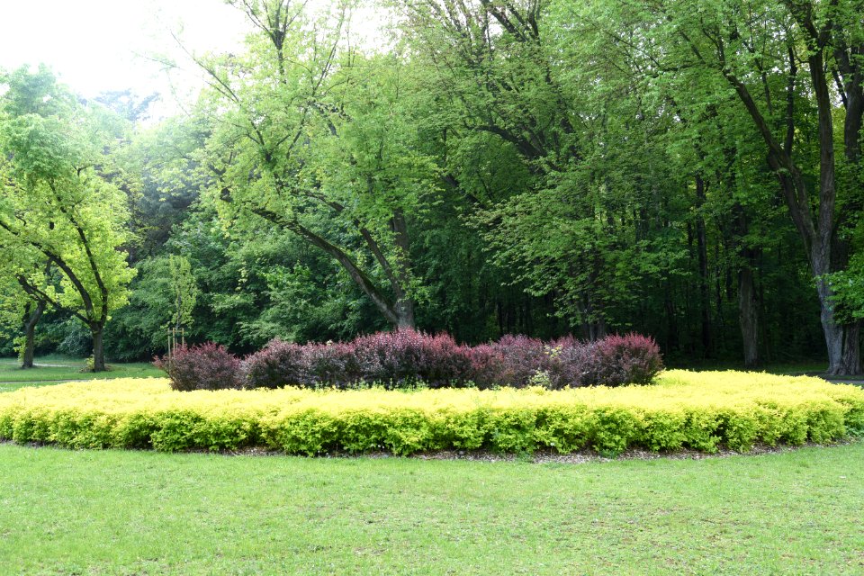 Park Piłsudskiego in Łódź May 2019 008