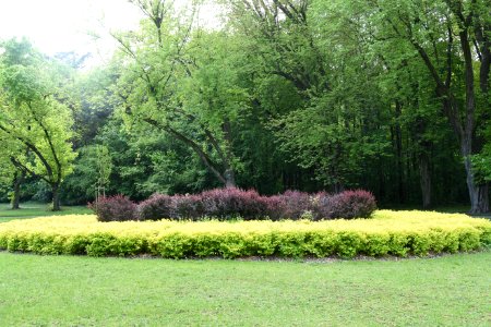 Park Piłsudskiego in Łódź May 2019 008