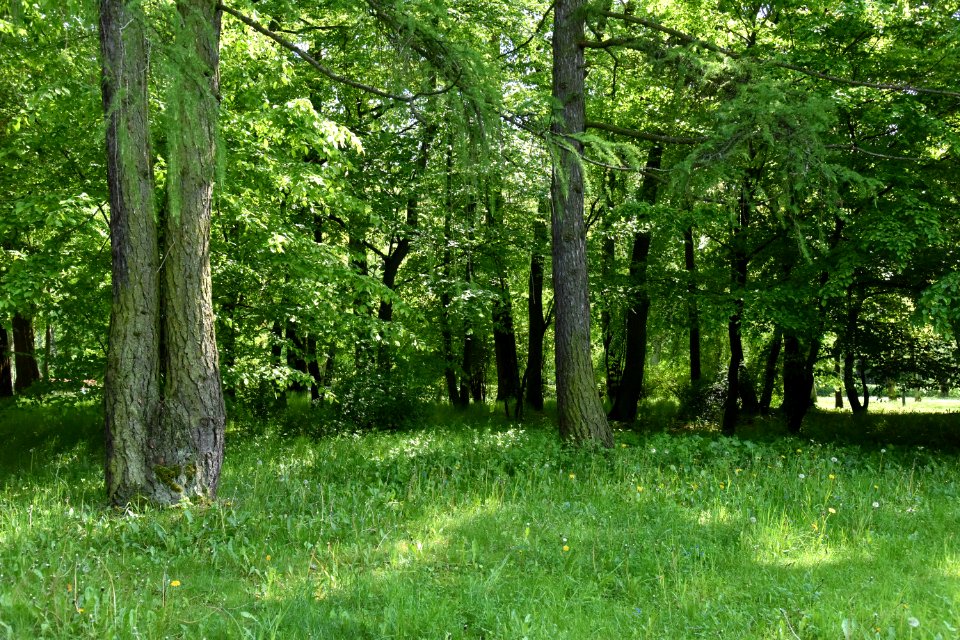 Park Piłsudskiego in Łódź May 2019 004
