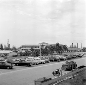 Parkeeterrein bij de Curaçaose Petroleum Maatschappij, Bestanddeelnr 252-3166