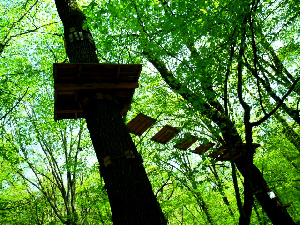Park linowy, Racibórz 3