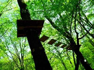 Park linowy, Racibórz 3