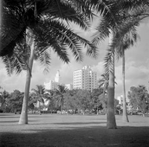 Park in Miami, Bestanddeelnr 191-0768