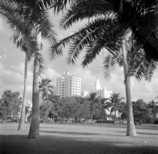 Park in Miami, Bestanddeelnr 191-0770
