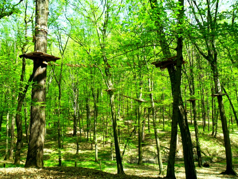 Park linowy, Racibórz 2