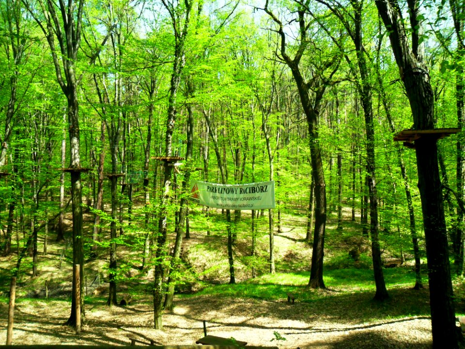 Park linowy, Racibórz 4
