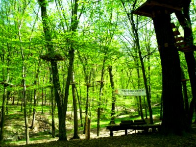 Park linowy, Racibórz