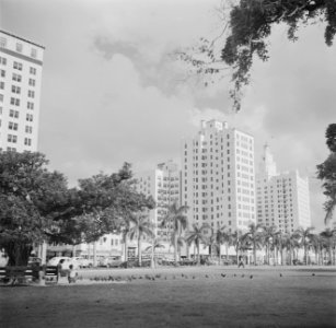 Park in Miami, Bestanddeelnr 191-0777