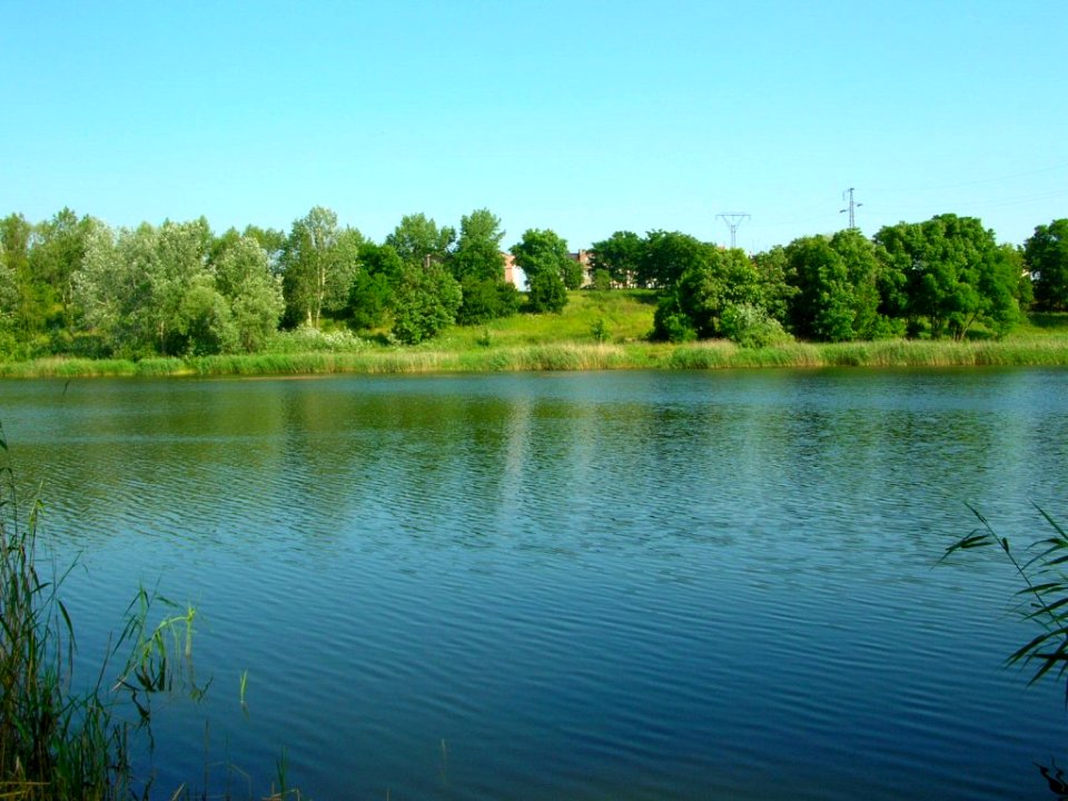 Park Milenijny - 2