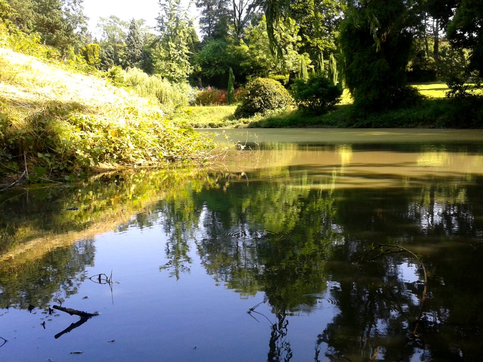 Parc arboretum du manoir aux loups 05