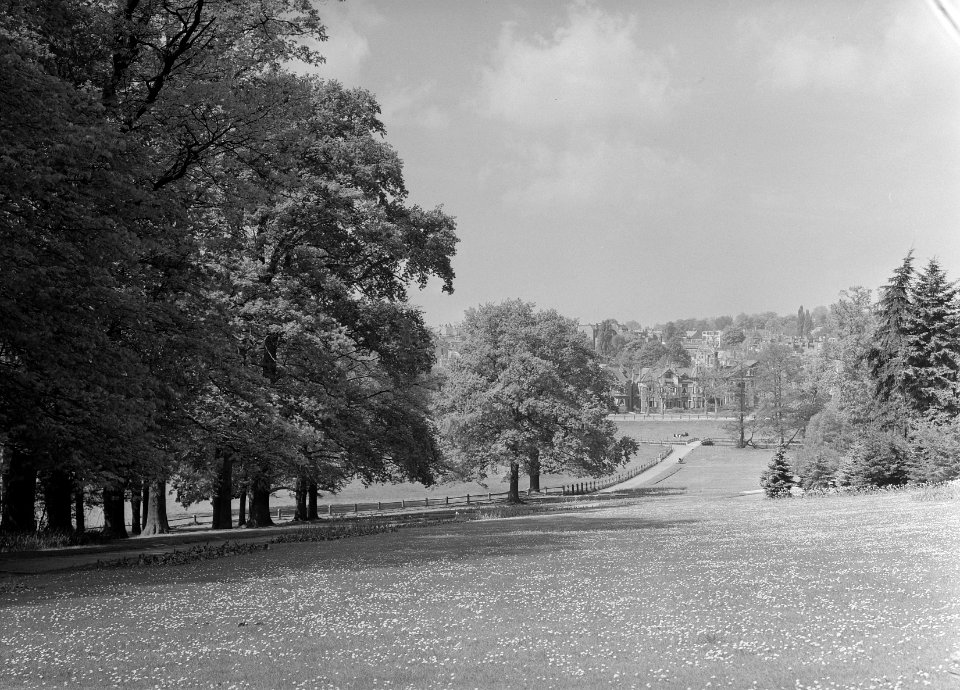 Park Sonsbeek te Arnhem, Bestanddeelnr 164-0154