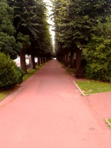 Parc de Bécon, Courbevoie 17