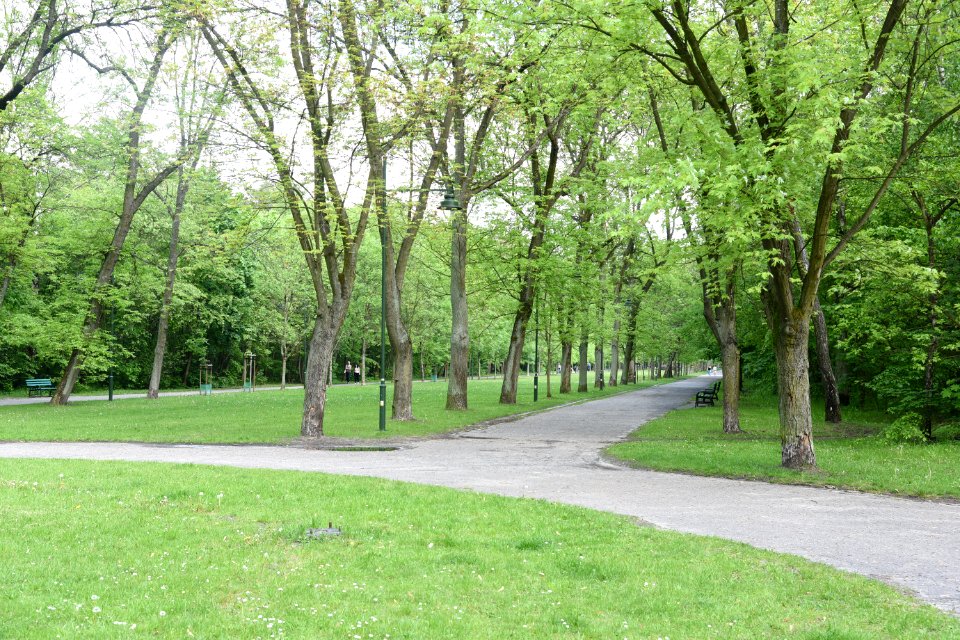 Park Piłsudskiego in Łódź May 2019 009
