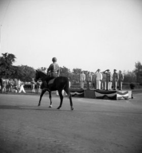 Paradecommandant passeert podium, Bestanddeelnr 15539