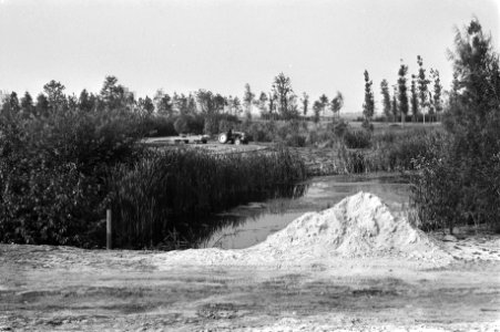 Parken, infrastructuur, exposities, tuinbouw, Bestanddeelnr 930-4696
