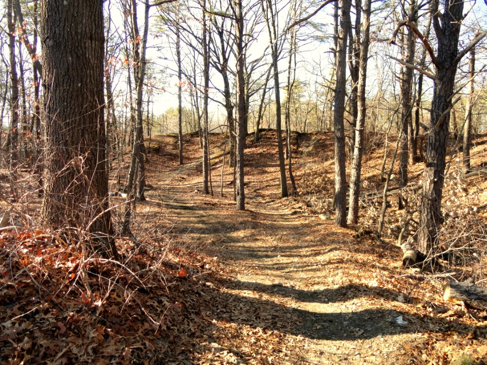 Park Along Aberjona River - Winchester, MA - DSC04238
