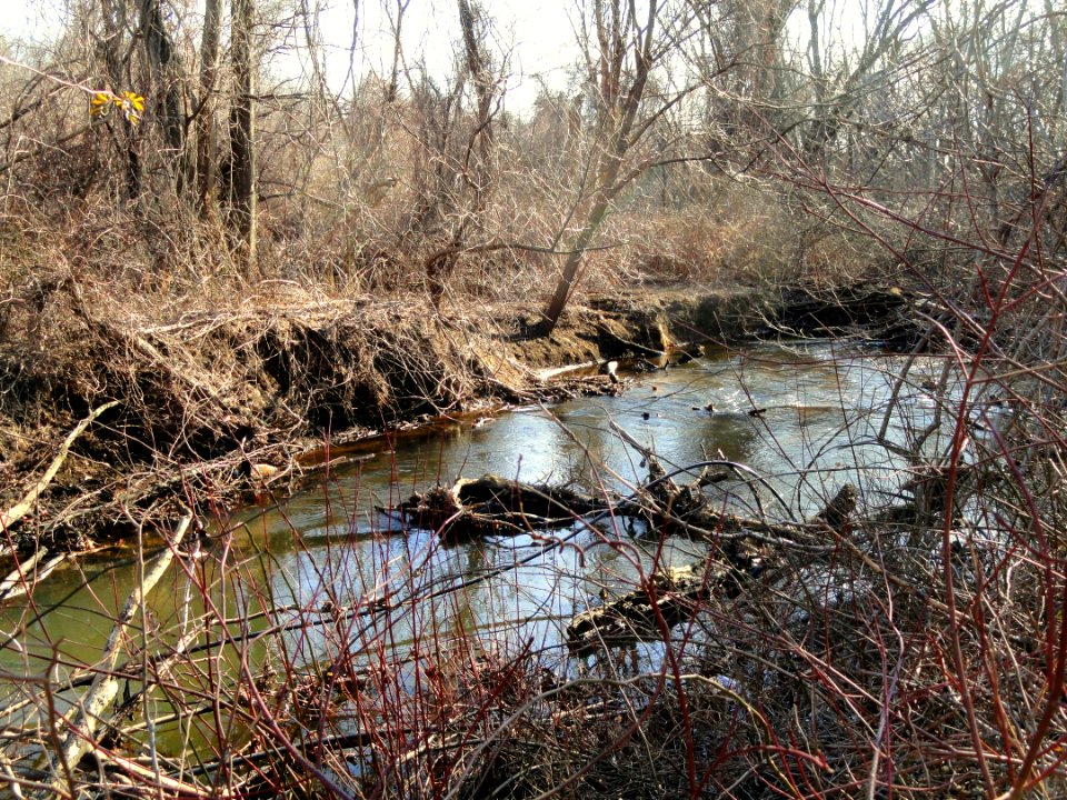 Park Along Aberjona River - Winchester, MA - DSC04240