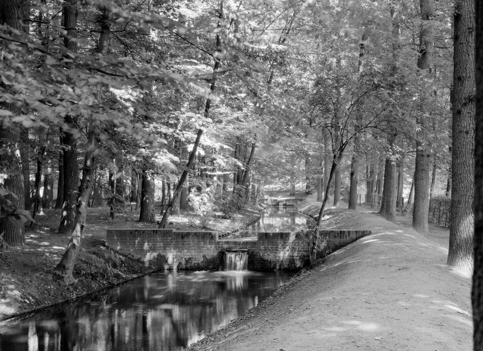 Park Angerenstein, Bestanddeelnr 164-0433