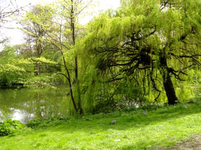 Park along Kastellet Moat - Copenhagen - DSC07282