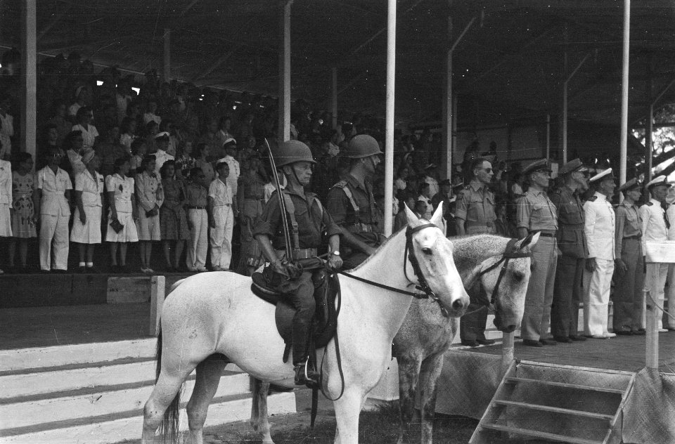 Paradecommandant te paard, Bestanddeelnr 35-3-5