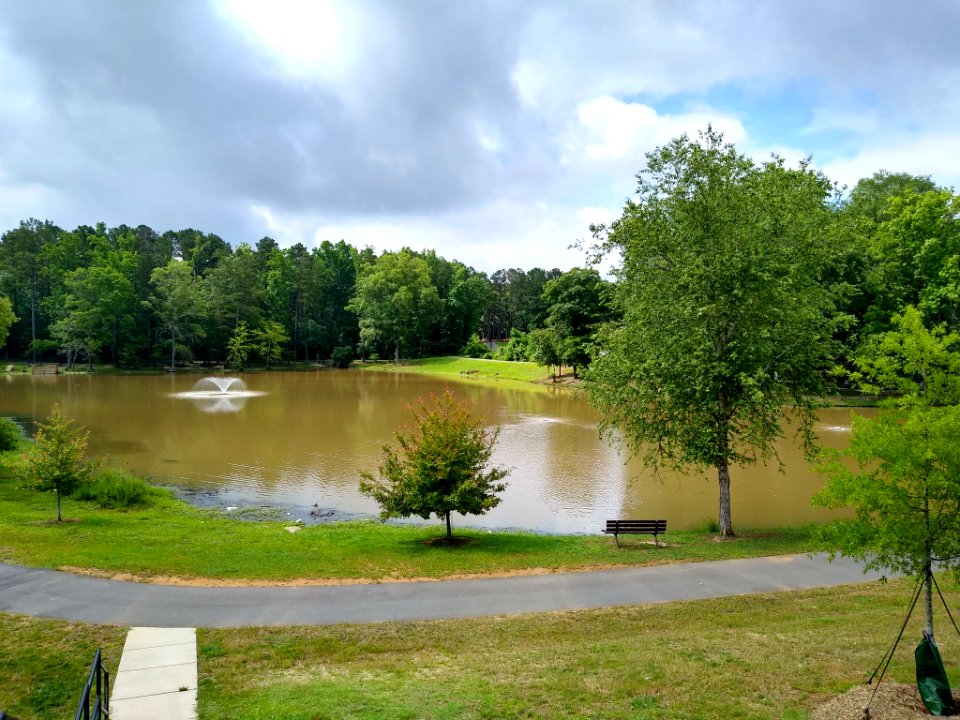 Park Road Park 1